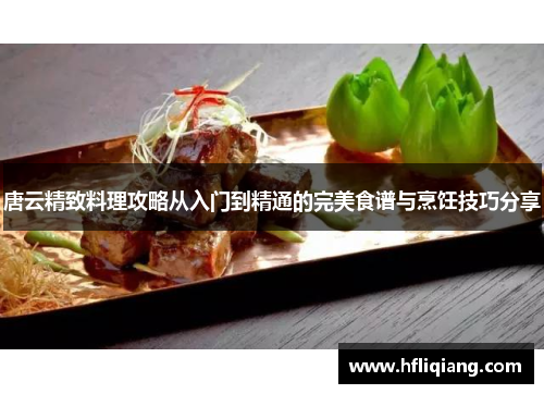 唐云精致料理攻略从入门到精通的完美食谱与烹饪技巧分享