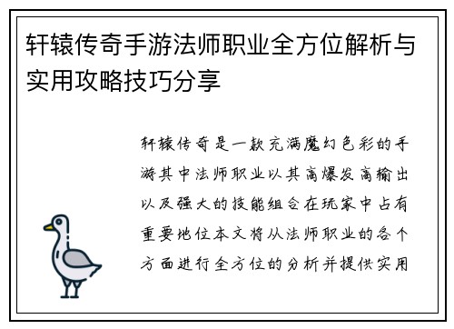 轩辕传奇手游法师职业全方位解析与实用攻略技巧分享
